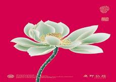 一花一世界季羡林内容简介