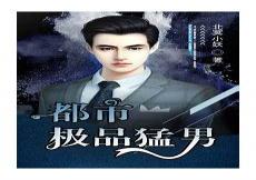 医世圣手叶峰全文免费