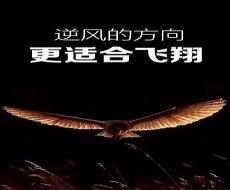 微商晚安圈